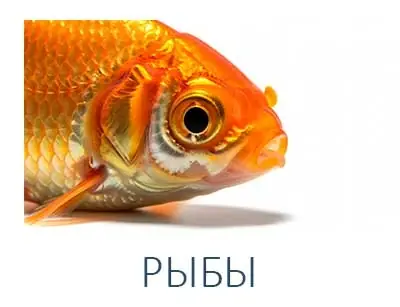 РЫБЫ
